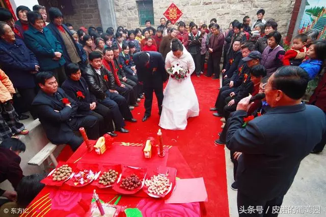 結婚十年,婆家沒給過一分錢,如今上門求贍養,我寧肯離婚都不幹