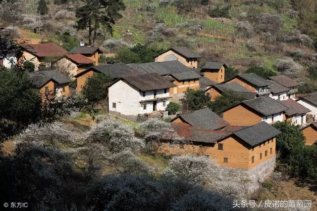 不聽勸嫁給山里老公,洞房夜門外傳來一陣響聲,打開門我又羞又怒