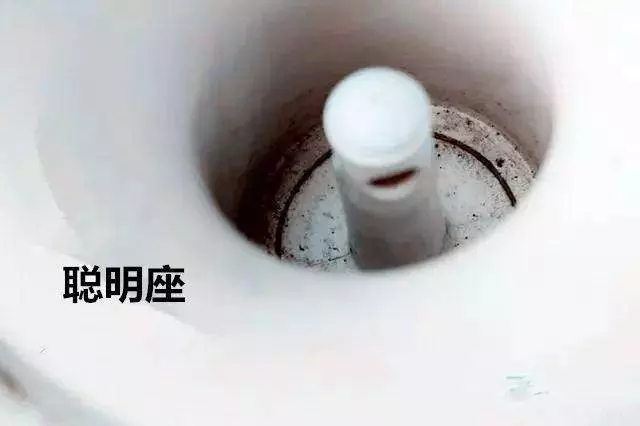 9成人天天在吃這8種「污垢」!比馬桶還「髒」,看完趕緊去清理