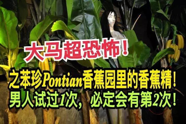 大馬最恐怖!之苯珍Pontian香蕉園裡的香蕉精!男人試過1次,必定會有第2次
