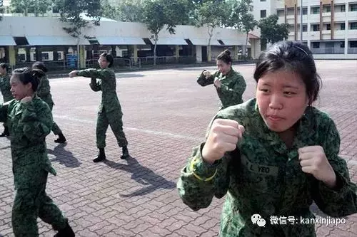 新加坡足球小將戴維斯逃兵役,可能面臨監禁!