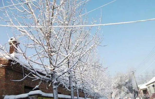 未來婆婆帶我去看婚房,看到牆上的婚紗照,我決定放棄了這段婚姻