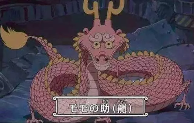 海賊王:凱多吞噬龍形態登場,桃之助被嚇壞,索隆:你的對手是我