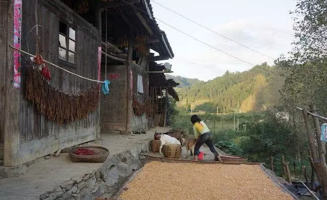 妻子出軌離婚凈身出戶,前夫帶嬌妻開豪車去炫耀,見前妻遺書愣了