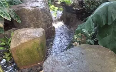 亞馬遜放大招了,狂砸250億造新總部,讓你天天加班都會願意的!