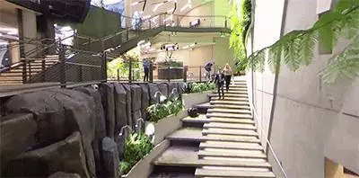 亞馬遜放大招了,狂砸250億造新總部,讓你天天加班都會願意的!