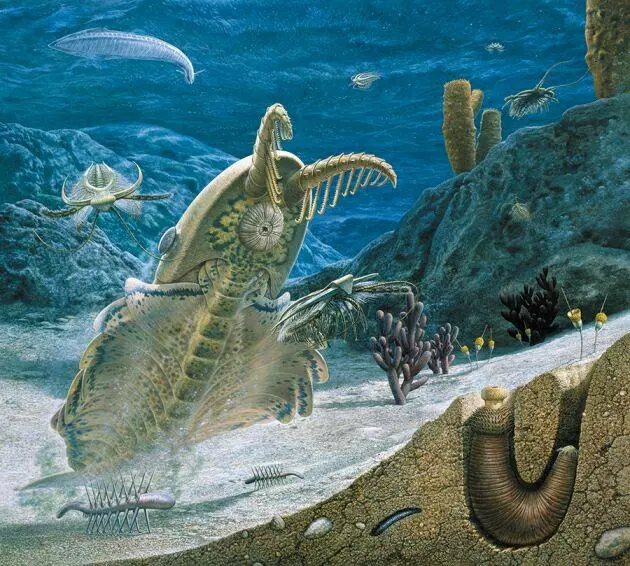 美媒:5億多年前,寒武紀生物「大爆發」或改變了地球