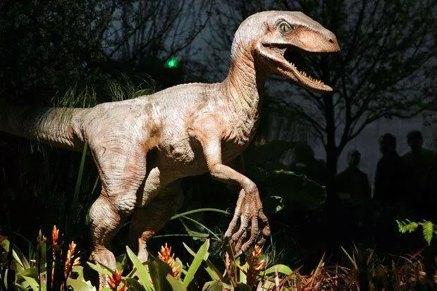 美媒:5億多年前,寒武紀生物「大爆發」或改變了地球