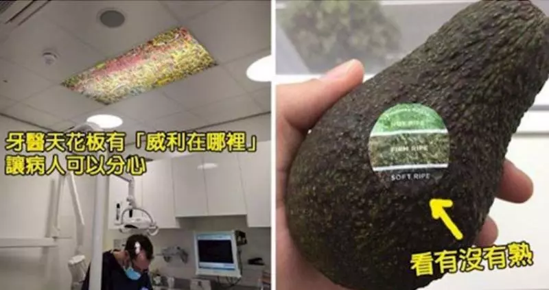 30個早該這麼做的「解決所有問題」超天才發明