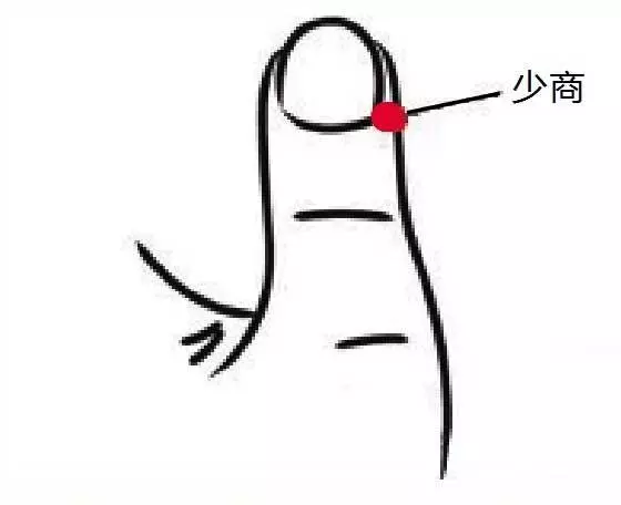 少商穴:喉嚨腫痛、感冒、發熱、咳嗽、點刺放血,退燒立竿見影!