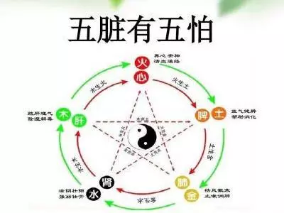 五臟與五怕!肝、心、脾、肺、腎都怕什麼,快看看……