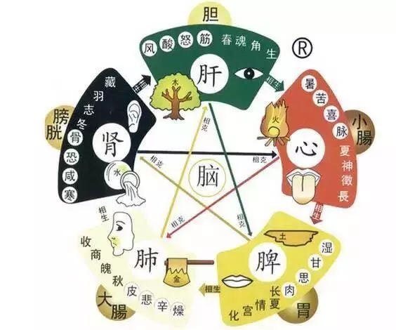 五臟與五怕!肝、心、脾、肺、腎都怕什麼,快看看……