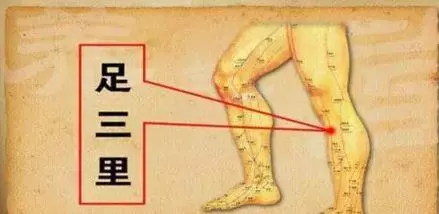 《食慾不振》多發生於情緒不佳、睡眠不足、疲倦、食物結構單調等