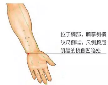 《食慾不振》多發生於情緒不佳、睡眠不足、疲倦、食物結構單調等