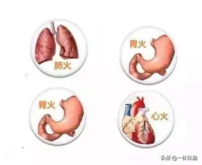 蠢蠢欲動的春天,肺火、心火、肝火,胃火,五臟起火了咋辦?
