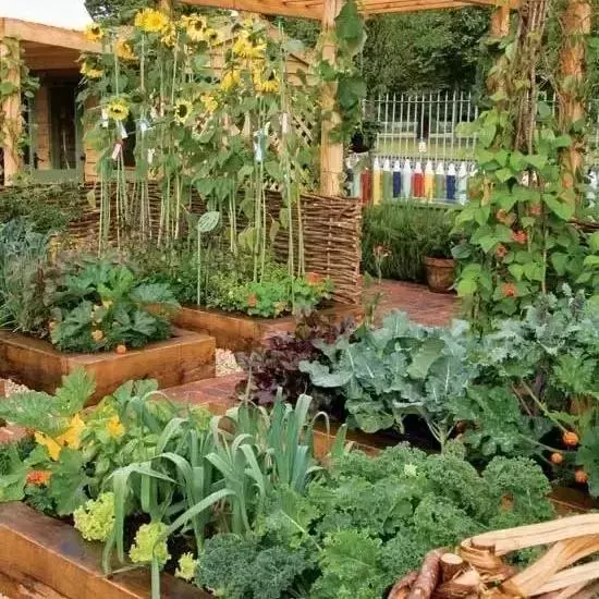 在家種個菜都這麼美,我還要什麼花園?