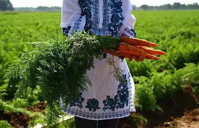 在家種個菜都這麼美,我還要什麼花園?