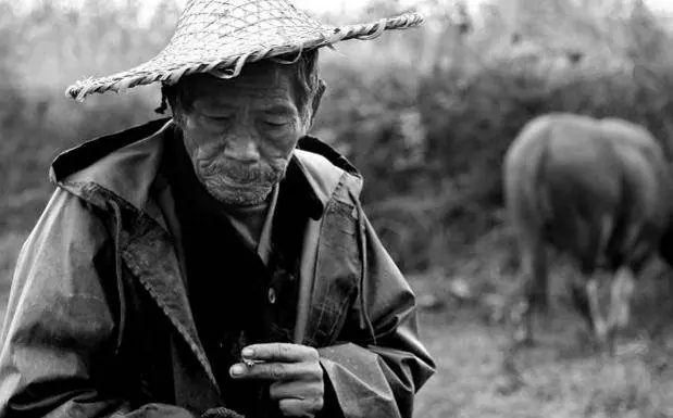老漢山中打獵,救了一隻受傷的小狼。那晚他在門上挖了個孔,結果看到。。。 |