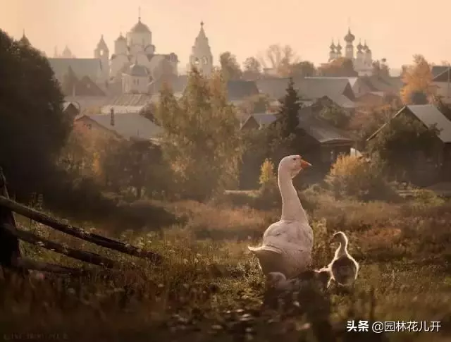 全世界最美的60個小鎮