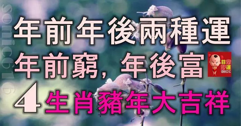 年前年後兩種運,年前窮,年後富,4大生肖豬年大吉祥!