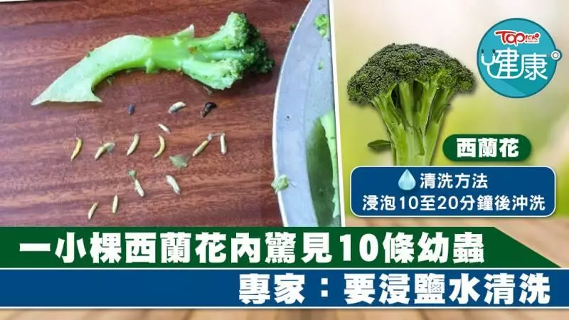 一小棵西蘭花內驚見10條幼蟲 專家:要浸鹽水清洗。。