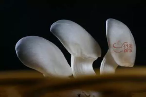 能把「腎臟」洗乾淨的的秘方就是「他」了!癌症的免死金牌!快快傳出去!