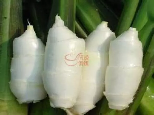 能把「腎臟」洗乾淨的的秘方就是「他」了!癌症的免死金牌!快快傳出去!