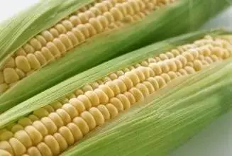 煮它時千萬別剝皮!每天吃上幾十顆,功效比「黃金」還金貴!