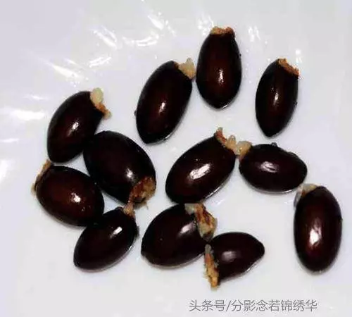 手腳長雞眼真難受啊!教你兩招,輕松去除不留痕!