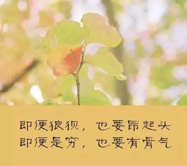 當你落魄無助,被人看不起的時候,切記四句話!