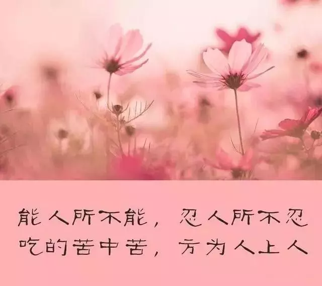 當你落魄無助,被人看不起的時候,切記四句話!