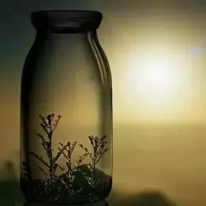 人就是一隻空瓶子,你向瓶子裡面倒什麼,你得到的就是什麼......