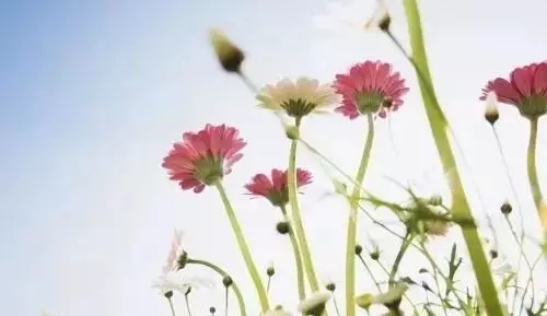人就是一隻空瓶子,你向瓶子裡面倒什麼,你得到的就是什麼......