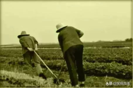 人間最苦的兩個人—老爸和老媽