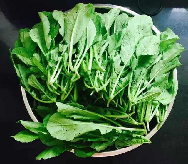 這個蔬菜是【天然的鈣片】,種進花盆中長瘋快,15天就能吃 !