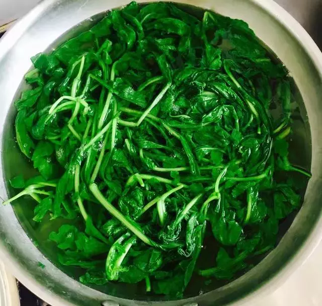 這個蔬菜是【天然的鈣片】,種進花盆中長瘋快,15天就能吃 !