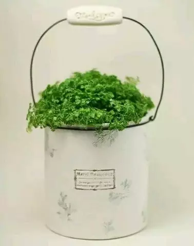 什麼垃圾都可以扔,唯獨這「奶粉罐千萬別扔」!這麼一改太實用了,個個都是寶貝!