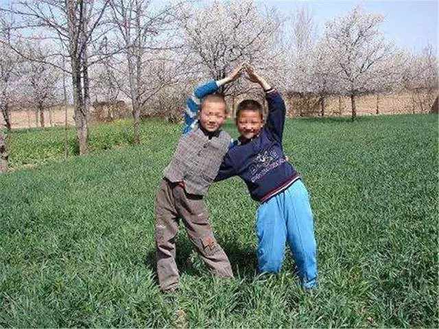 母親分家,大兒子220萬,小兒子一分沒有,小兒子大鬧後蒙了