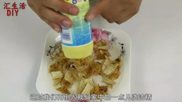 【超實用】趕走蟑螂的妙方:家中放一片葉子,一晚蟑螂就會全部消失
