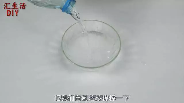 【超實用】趕走蟑螂的妙方:家中放一片葉子,一晚蟑螂就會全部消失