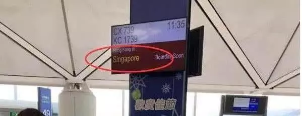 張柏芝連續工作累倒癱睡在車上,曬視頻證實新男友並非富豪!