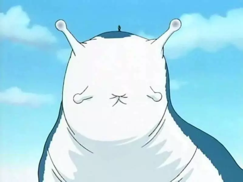《火影忍者》歷代七位火影通靈獸大盤點,二代的最特別也最霸氣!
