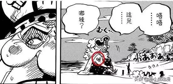 海賊王:漫畫出現失誤,每天睡三小時的尾田終於扛不住了?