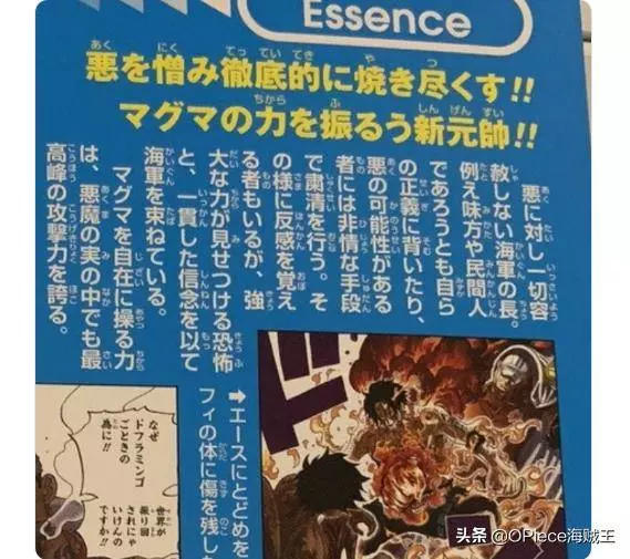 海賊王:尾田實錘岩漿果實攻擊力最強,赤犬至今也沒打過敗仗!