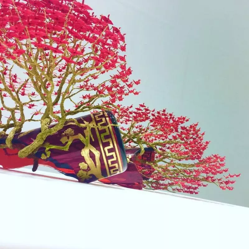 乍看以為是樹葉… 日本藝術盆栽近看「3000朵翅膀」美到屏息