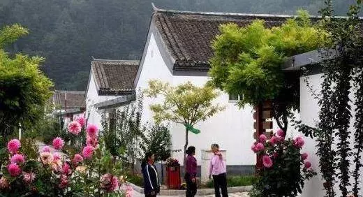 家裡這「4樣東西」儘量少外借,我也是剛知道後果,看完提醒家人 !