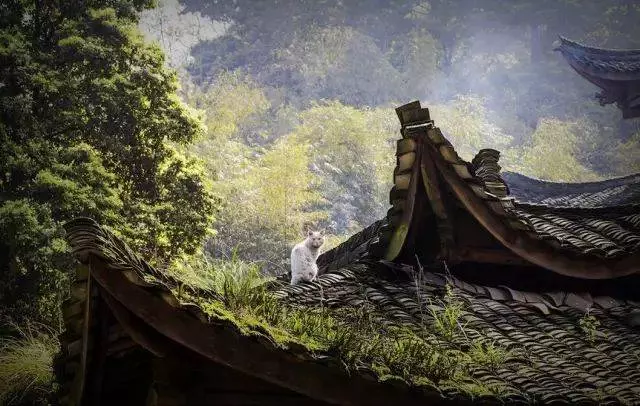 你的人生是在挑水?還是挖井?這就是有錢人和窮人的區別....
