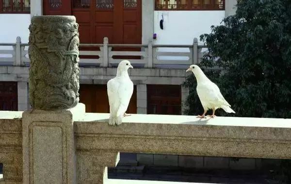你的人生是在挑水?還是挖井?這就是有錢人和窮人的區別....