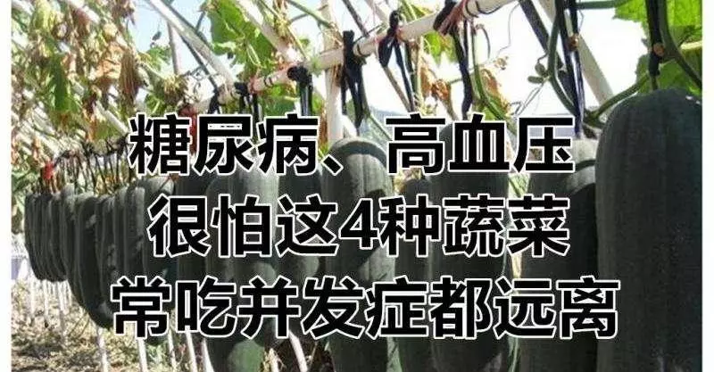 糖尿病、高血壓很怕這4種蔬菜,常吃併發症都遠離