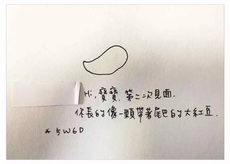 中肯哭! 31張「懷孕的心路歷程」插畫 媽媽們:老公是不是豬隊友真的有差
